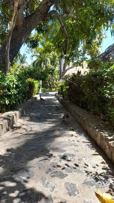 Apartamento Sol Y Mar. Delfines Ixtapa  Exterior foto